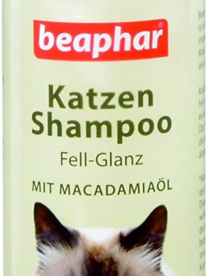 Katze Shampoo